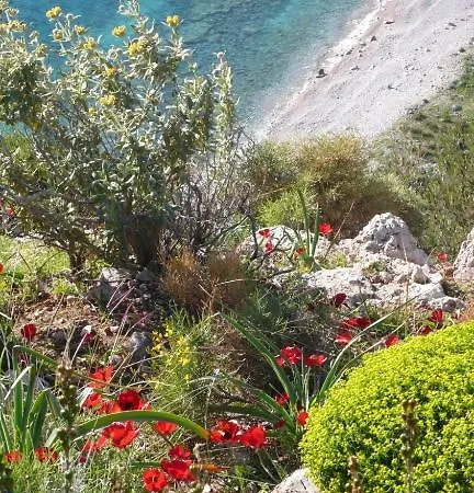 赛帕蒂阿帕特酒店 * Mesudiye (Datca)